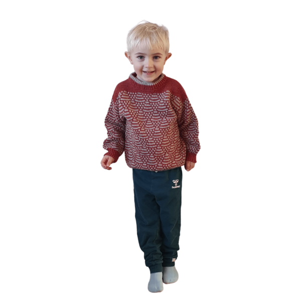 Springflod Sweater småbørn - Image 2
